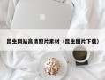 武穴昆虫网站高清照片素材（昆虫图片下载）