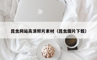 武穴昆虫网站高清照片素材（昆虫图片下载）